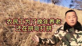 老祖心声有点野,探寻野性活力的生命轨迹