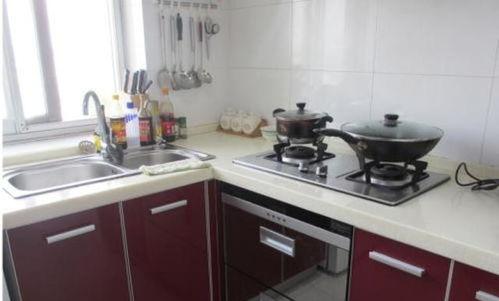 灶台通未来七零村花暴富记,七零村花逆袭记，揭秘农村致富新篇章