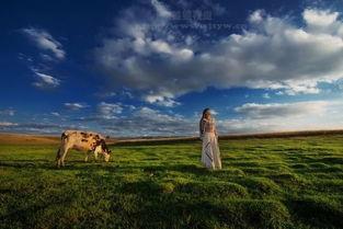 在那遥远的地方 2019,2019年心灵之旅的回响