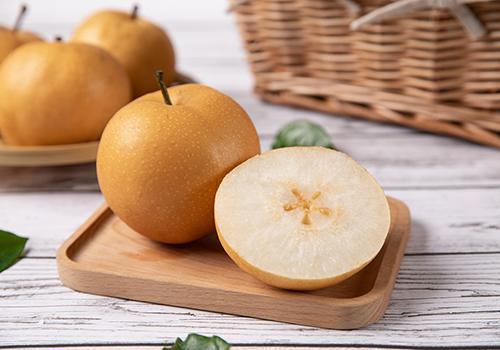 梨泰姬的味道,探寻印度古堡中的美食传奇